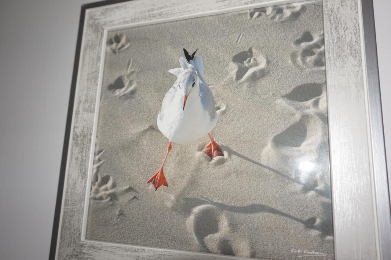 Appartement de standing Berck Esterno foto